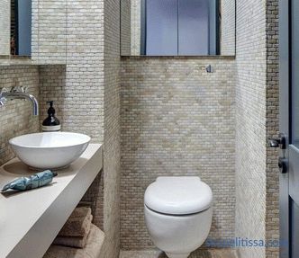 Dekoracija majhnega WC-ja, pravila za izbiro materialov in barv, priljubljene podrobnosti in slogi