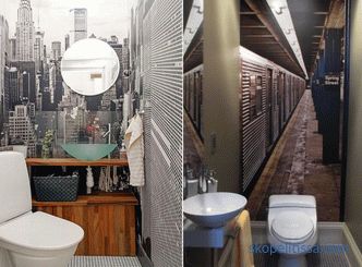 Dekoracija majhnega WC-ja, pravila za izbiro materialov in barv, priljubljene podrobnosti in slogi