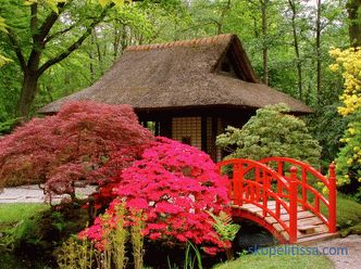 Japonski vrt - načela in pravila za ustvarjanje sloga