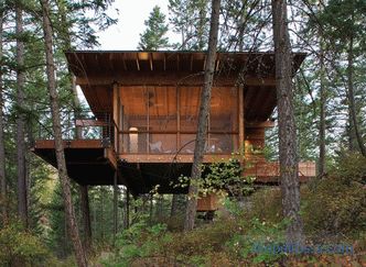 Počitniška hiša v borovem gozdu na pobočju v Montani