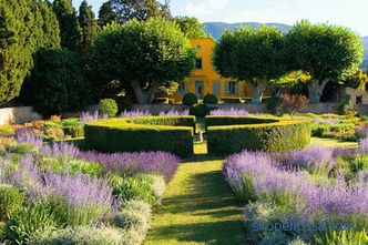 Provence style vrt - osnovna pravila oblikovanja