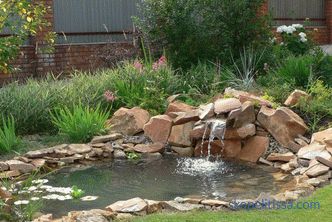 Kako narediti ribnik v državi - umetni dekorativni ribnik na vrtu in na mestu, lep dizajn ribnika, fotografija