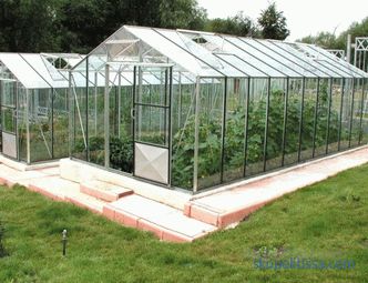Stekleni rastlinjak na dacha, vrste steklenih rastlinjakov in merila za njihovo izbiro