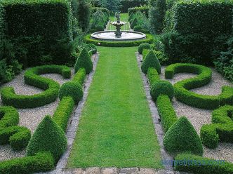 fotografije in osnovna priporočila za ustvarjanje čudovitega vrta