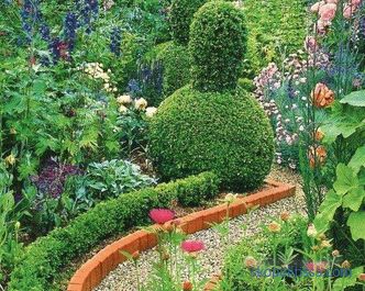 Dekorativne ograje za vrt, vrtne ograje, oblikovalske ideje, fotografije