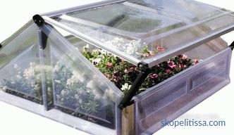 Domače mini polikarbonatna rastlinjaka, mini rastlinjak za vrt, foto in video