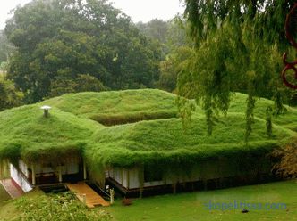 Zelena streha - lepota ali dobro