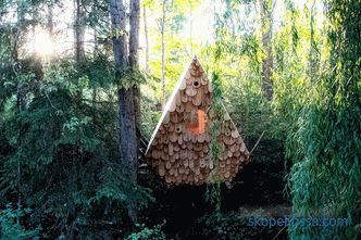 Birdhouse v kanadskem gozdu - sprejme dve osebi in 12 ptic